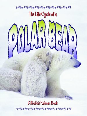 cover image of The Life Cycle of a Polar Bear